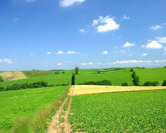 ̾ٵĄ־ܳxһͽoԼ